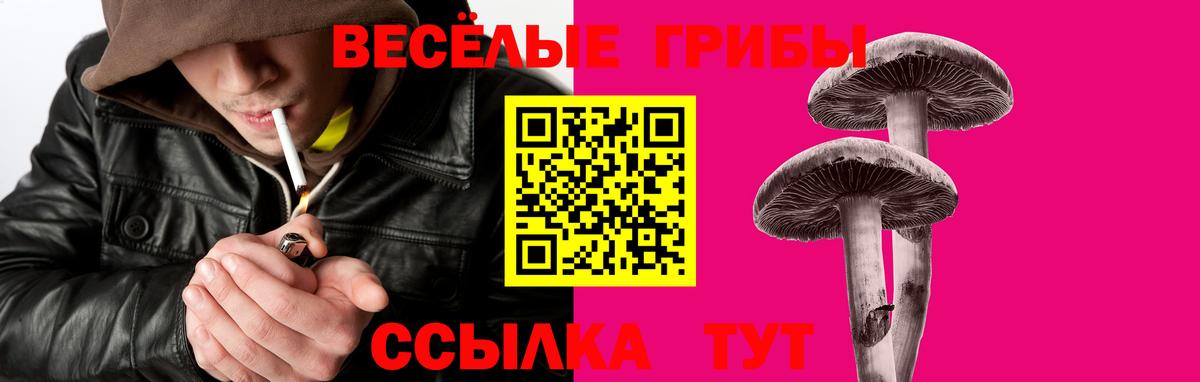 Москва  Галлюциногенные грибы прущие грибы  Вход с VPN 